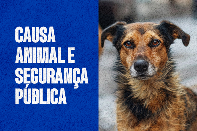 Causa animal e segurança pública: Município avança com castrações, microchipagem e nova lei
